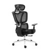 Fotel ergonomiczny Mark Adler Expert 4.6