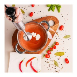 Blender ręczny VERTENZ Titan 50