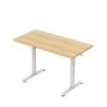 Leader 6.9 Craft 120 cm electric desk