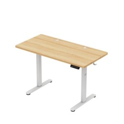 Leader 6.9 Craft 120 cm electric desk