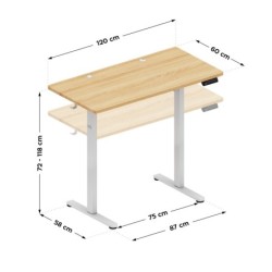 Leader 6.9 Craft 120 cm electric desk