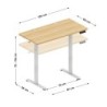 Leader 6.9 Craft 120 cm electric desk