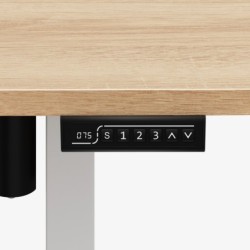 Leader 6.9 Craft 120 cm electric desk