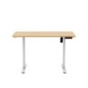 Leader 6.9 Craft 120 cm electric desk