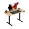 Leader 6.9 120 cm electric desk