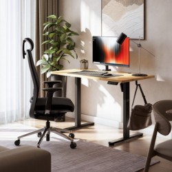 Leader 6.9 120 cm electric desk