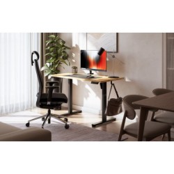 Leader 6.9 120 cm electric desk