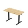 Leader 6.9 120 cm electric desk