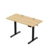 Leader 6.9 120 cm electric desk