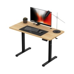 Leader 6.9 120 cm electric desk