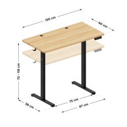 Leader 6.9 120 cm electric desk