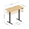Leader 6.9 120 cm electric desk