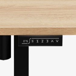 Leader 6.9 120 cm electric desk