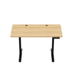 Leader 6.9 120 cm electric desk