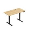 Electric desk Leader 6.9 120 cm