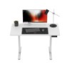 Leader 6.9 White 120 cm electric desk