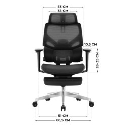 Ergonomic chair Expert 8.7 Black Mesh