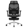 Ergonomic chair Expert 8.7 Black Mesh