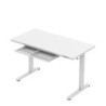 Biurko elektryczne ze szklanym blatem Mark Adler Leader 8.5 White 120 cm