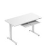 Biurko elektryczne ze szklanym blatem Mark Adler Leader 8.5 White 120 cm