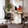 Electric desk Leader 7.3 Craft 140 cm