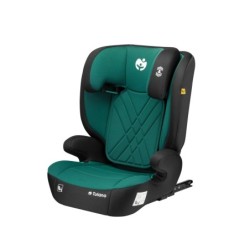 Children's 2-in-1 car seat...