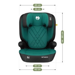 Children's 2-in-1 car seat 100 -150 cm Joy 45 Green I-Size