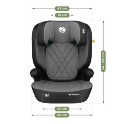 Baby car seat 2-in-1 100 -150 cm Joy 45 Grey I-Size
