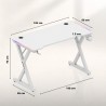 Gaming desk Hero 2.3 RGB White 120 cm