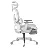 Expert 9.3 Grey ergonomic chair