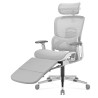 Expert 9.3 Grey ergonomic chair