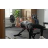 Workout bench Gorilla 15