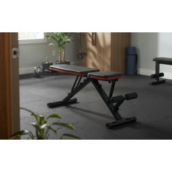 Workout bench Gorilla 15