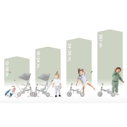 4-in-1 Bicycle Noah 35 Grey