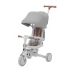 Rowerek 4 w 1 Noah 35 Grey
