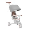 4-in-1 bike Noah 35 Grey