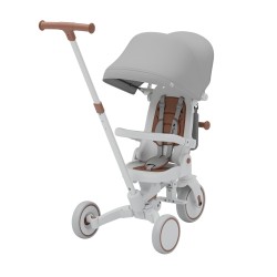 4-in-1 Bicycle Noah 35 Grey