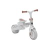 4-in-1 bike Noah 35 Grey