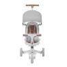 4-in-1 bike Noah 35 Grey