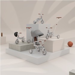 4-in-1 Bicycle Noah 35 Grey