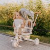 4-in-1 bike Noah 35 Grey