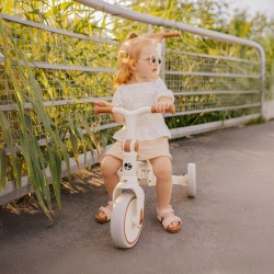 4-in-1 Bicycle Noah 35 Grey