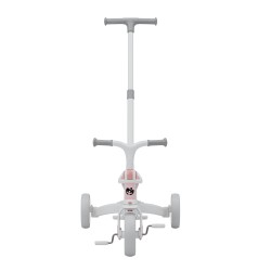 4-in-1 Bicycle Noah 35 Pink