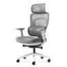 Office chair with massage Visioner 6.1 Grey