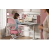 Children's desk Study 5.7 Pink