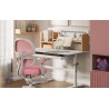 Children's desk Study 5.7 Wood