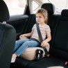 Cabby 20 Car Seat Beige
