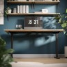 Electric desk rack Xeno 6.0