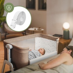 Cot Dream 50 Taupe