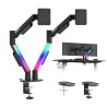 Dual monitor mount Motion 2.6 RGB